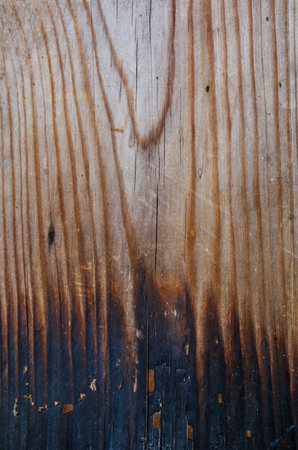 Texture of black wooden surface, wooden board half burnt into charcoalの写真素材