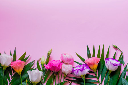 Tender white and pink eustoma flowers on pink background with palm leaves, flat lay, top view