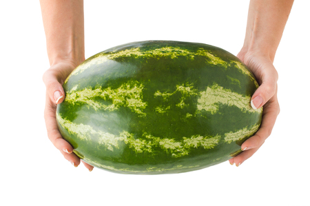 Keep whole watermelon in hands. On white isolated fone.Top view. Flat lay.の写真素材