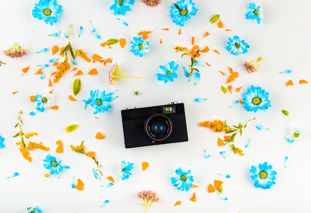 Blue, beige, yellow and orange flowers, green leaves, scattered on a light background. Black camera...