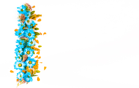 Blue and orange flowers are a straight vertical stripe on a light background. Top view. Flat lay.の写真素材