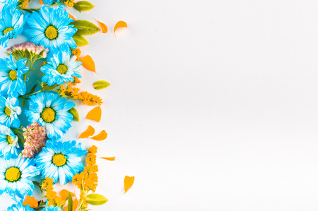 Blue and orange flowers are a straight vertical stripe on a light background. Top view. Flat lay.の写真素材