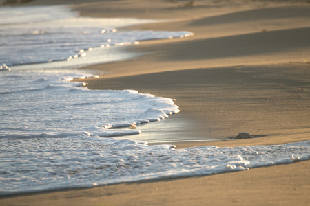Detail of Close up of wave on beach on sunset with a stone in the sandの写真素材