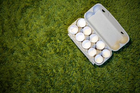 10 broken empty egg shells lie in a box on the green grass. top view, close-up, place for copyspace
