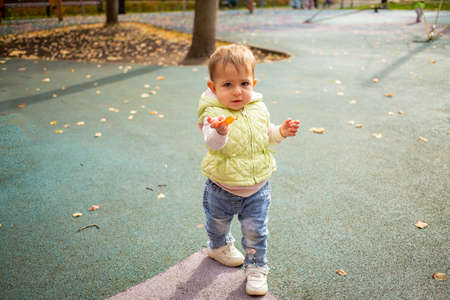 charming todler holds out a yellow autumn leaf and looks at the camera while walking in a beautiful...