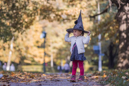 little cute toddler witch in a hat plays in an autumn park on a sunny day. halloween celebration...