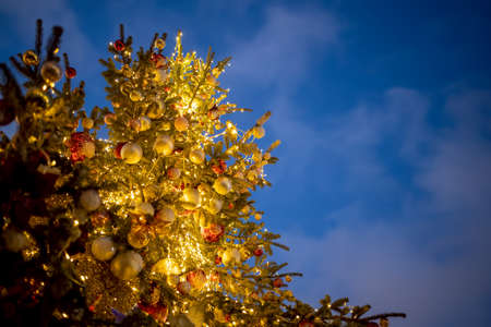 Beautiful Christmas background. bottom view of a beautiful high Christmas tree decorated with balls...