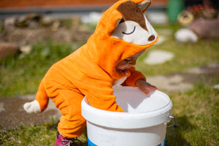 adorable little toddler playing with water in the backyard in sunshine. child in a fox costumeの写真素材