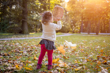 adorable toddler girl playing with yellow maple leaves in autumn park on sunny dayの写真素材