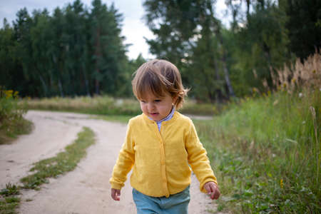 little adorable toddler walking on country road in the summer field. children vacation on countryside.の写真素材