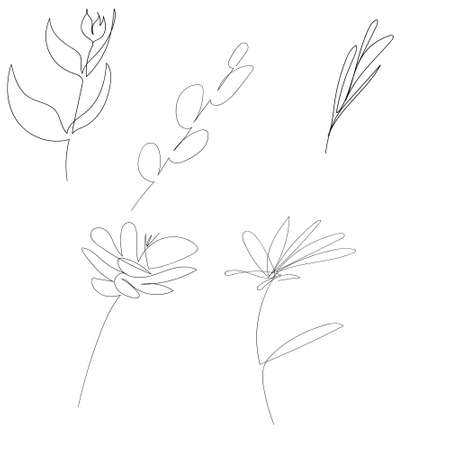 set of vector single one line drawn set of flowers. handdrawing outline illustration isolated on white background. Botanical iconsのイラスト素材