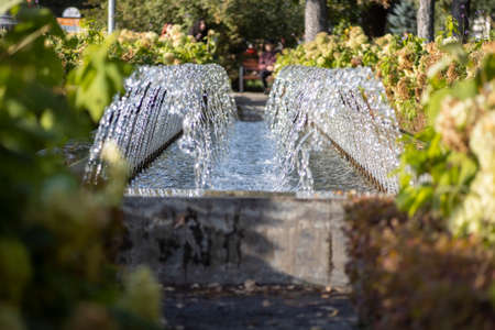 fountains in summer park. nice sunny day outdoors in parkの写真素材