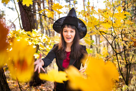 attractive witch in the autumn forest conjures. yellow fallen maple leaves on the backgroundの写真素材
