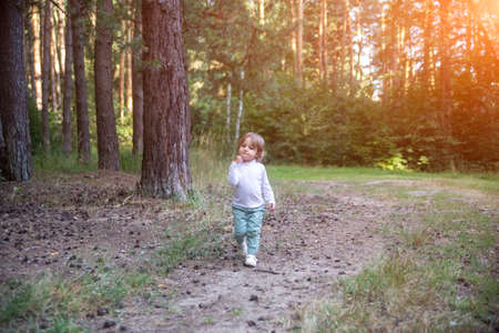 adorable toddler walks in the woods forest sunny summer dayの写真素材
