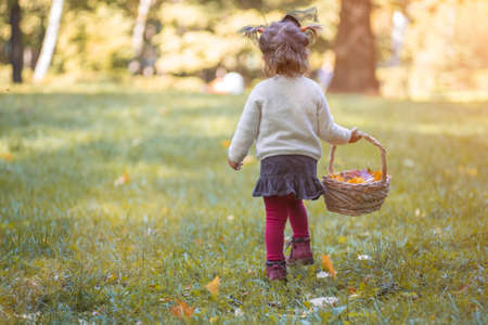 adorable baby walks out in park with a basket of yellow autumn leaves. Toddler in a witch costume. concept halloweenの写真素材