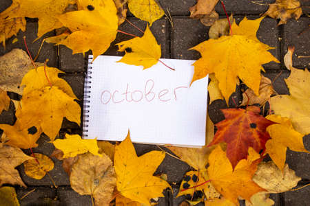 notepad with inscription october lies in autumn leaves on tile track top viewの写真素材