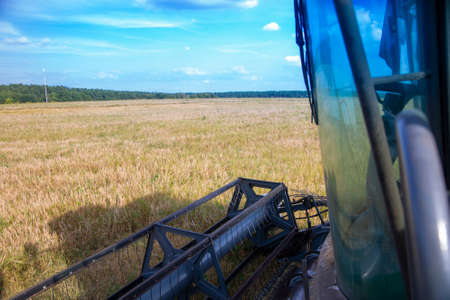 Combine harvester working on a wheat field. Seasonal harvesting the wheat. Agriculture. View from...