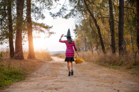 Halloween lady wearing witch cup. A woman in witch hat walking away to the sunの写真素材