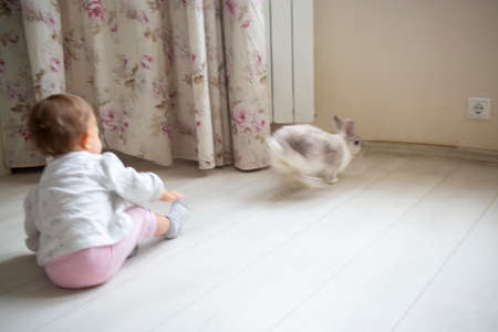 charming baby playing with decorative rabbit at homeの写真素材