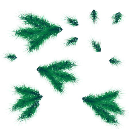 Collection Set of Realistic Fir Branches for Christmas Tree, Pine. Vectorのイラスト素材