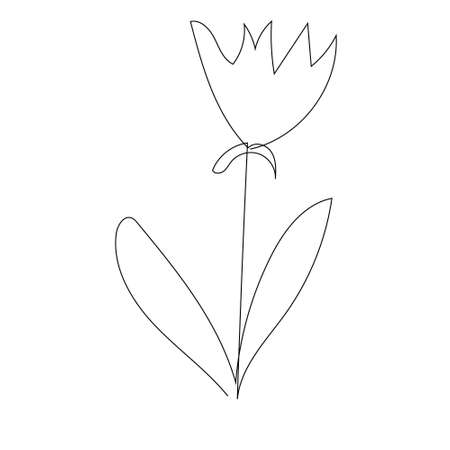outline one line spring flower doodle handdrawnのイラスト素材