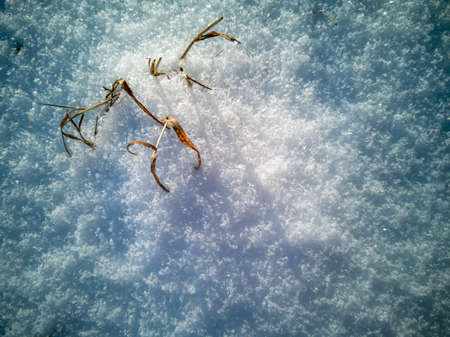 abstract natural texture of snow and dry grass. top view of snow cover patternの写真素材