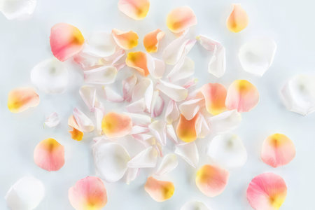 Soft pink and yellow rose petals scattered on a light, clean surface for beauty and romance themes.