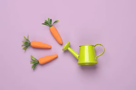 Fresh orange carrots with green leaves and a green watering can on purple background