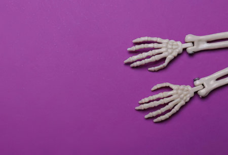 Two plastic skeleton hands placed on a purple background, suitable for Halloween or themed decorations.
