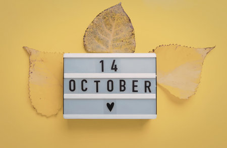 and autumn leaves on yellow background