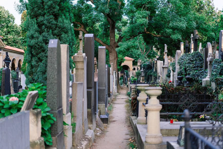 A peaceful cemetery path lined with stone monuments and lush green trees.