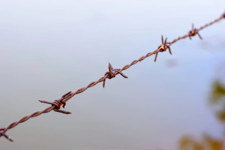 A detailed close-up of rusty barbed wire on a wire fence, with blurred background.