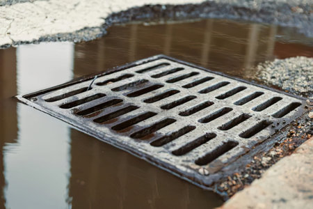 Close-up of a storm drain cover with water, leaves, and dirt on street