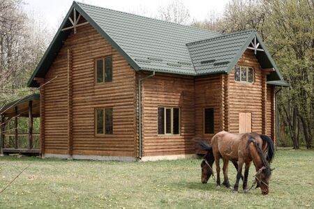 Horses on wooden house background A small, European-style wooden house or a wooden log cabin Old wooden house. Old wood in the countryside. Near beautiful forestの写真素材
