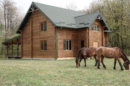 Horses on wooden house background A small, European-style wooden house or a wooden log cabin Old wooden house. Old wood in the countryside. Near beautiful forestの写真素材