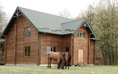 Horses on wooden house background A small, European-style wooden house or a wooden log cabin Old wooden house. Old wood in the countryside. Near beautiful forestの写真素材