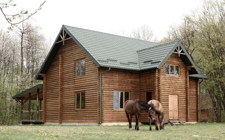 Horses on wooden house background A small, European-style wooden house or a wooden log cabin Old wooden house. Old wood in the countryside. Near beautiful forestの写真素材