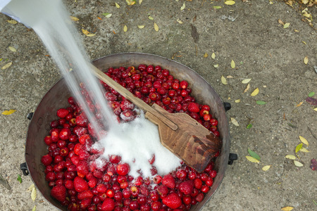 Top view of a pot with fresh cherries.の写真素材