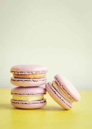 Three violet macarons on light background. Vertical photos. Delicious macaroons.の写真素材