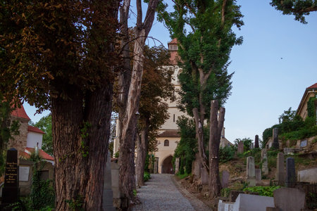Sighisoara, Romania - August, 2019: Old graves on a Uphill Saxon German cemetery next to so called Church on the Hill in Sighisoara city located in Mures County during a summer day in the evening.のeditorial素材