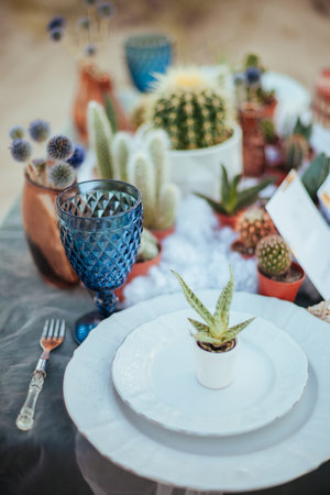wedding decor on the table with succulents on the beach. wedding table setting. Ceremony on the beach. Evening outdoors table setting for seaside partyの写真素材