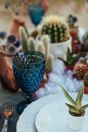 close up photo of wedding decor with succulents on the beach. wedding table setting. Ceremony on the beach. Evening outdoors table setting for seaside partyの写真素材