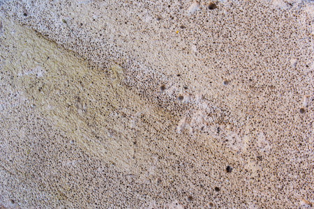 Shell rock limestone texture background. Spongy surface structure of the stone rock shell. Texture coquina stone, close-up. Coquina rock close-up, natural building material.の写真素材