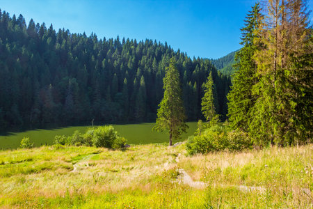 Summer Romanian landscape near Lake Lacu Rosu. Lacu Rosu is a popular travel destination in Romania, close to Cheile Bicazului and Ceahlau Mountains. Red lake is natural barrier dam lake. Transylvaniaの写真素材