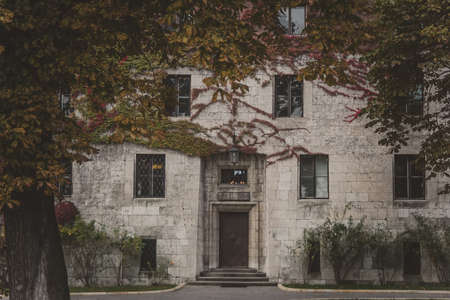 Old brick house with large beautiful windows entwined with green and red climbing ivy. Part of the...