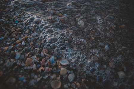 Beach with whole and beaten shells with small sea wave. The mass of shells on the coast of the sea...