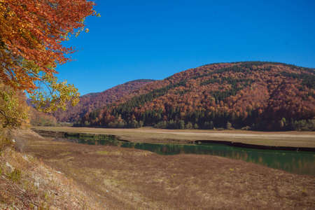Amazing autumn landscape in the mountains with river and colorful trees on backdrop. Beautiful autumn background. Fall near Tereblia reservoir, Carpathian Mountains, Ukraine.の写真素材