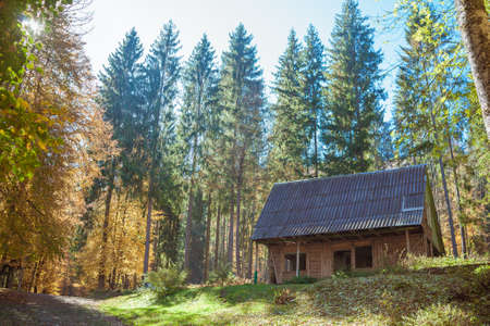 Old wooden house in beautiful forest in autumn. Amazing landscape with house on forest glade, colorful trees. Sunny warm fall in Ukraine.の写真素材