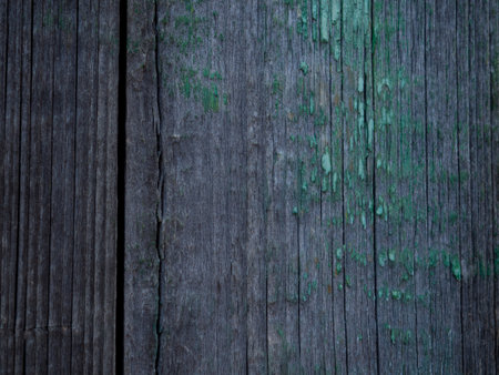 weathered dark wood background with texture. Texture of grey old wood with some green. Wide burned board close-up. a wooden surface. Shot Of Wooden Planks. Copy space for your textの写真素材