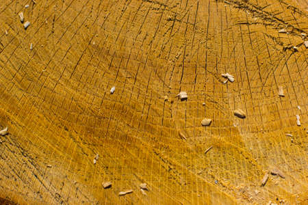 Saw cut texture with annual rings and cracks. Old tree stump as background. Construction Background. Stump of tree felled. Slice wood.の写真素材